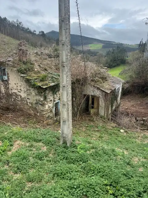 Vista exterior de Finca rústica en venta en Castropol