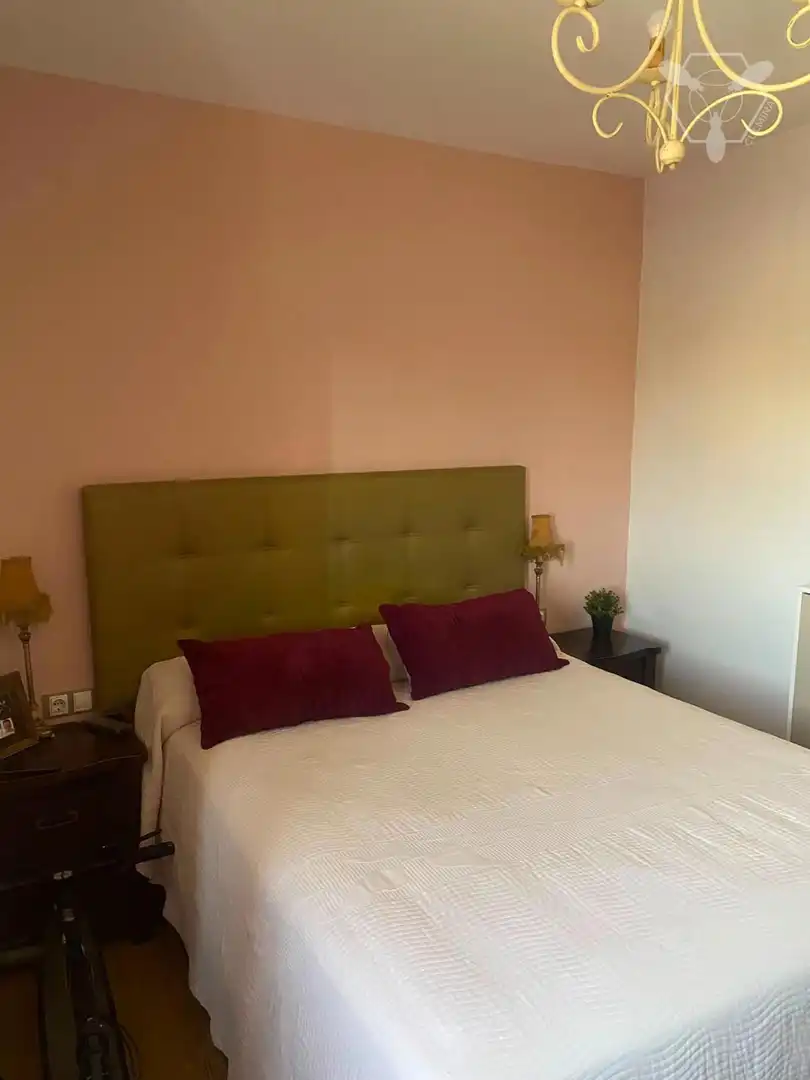 Piso con terraza en venta en El Carmen - Cardeñas, imagen 9