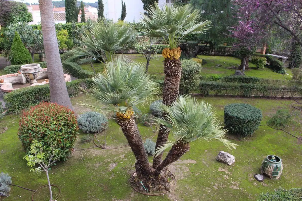 Jardí de Casa o xalet en venda en Segorbe amb Calefacció, Jardí privat i Terrassa