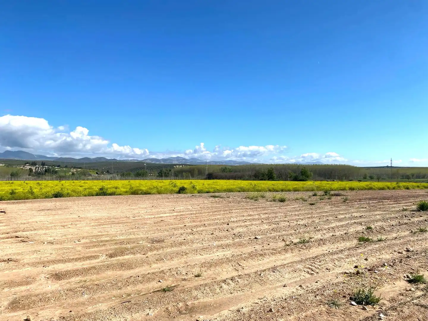 Rustikales Grundstück zum Verkauf in Pinos Puente, imagen 10