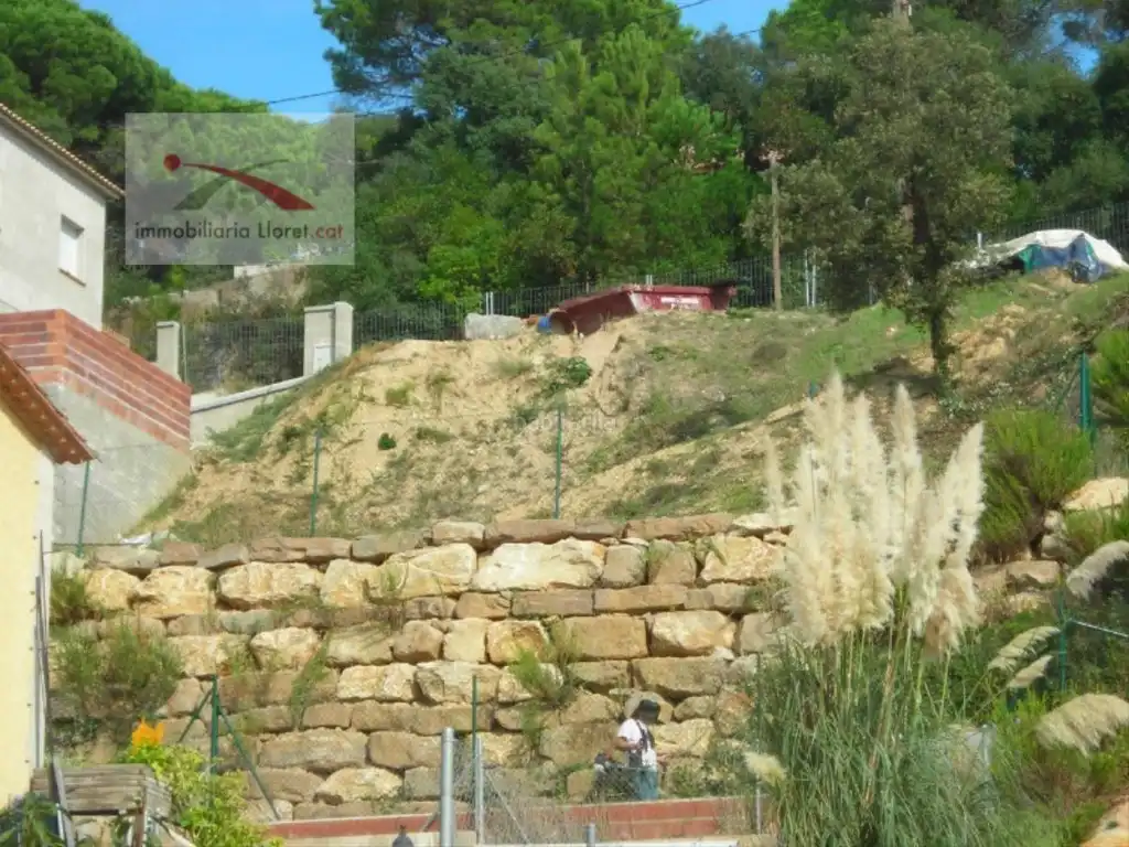 Terreny residencial en venda a Carrer Bedoll 127, imagen 3