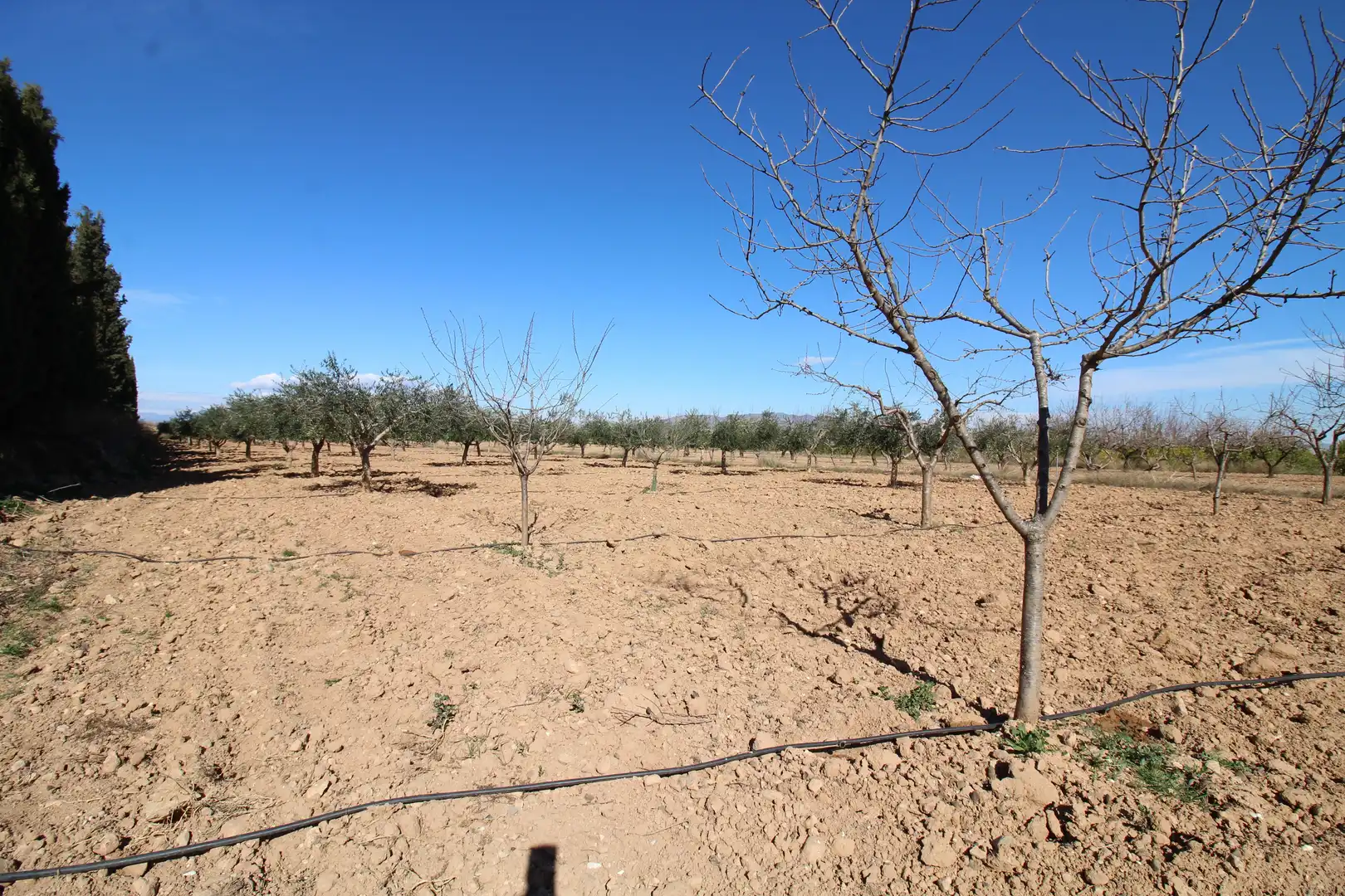 Casa amb jardí en venda a La Pinilla - Las Palas, imagen 29
