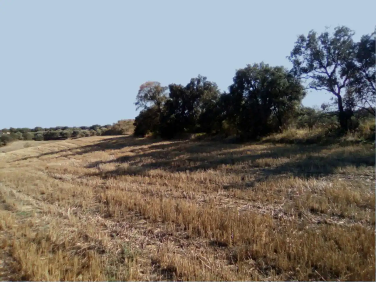 Terreni e lotti in vendita a Poligono 9, imagen 4