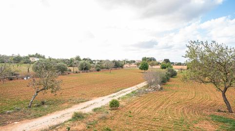 Photo 5 of Country house for sale in L'Olivera, Illes Balears
