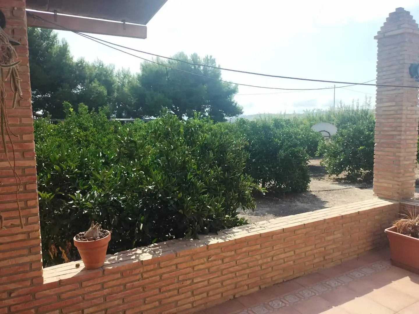 Xalet amb piscina en venda a Formentera del Segura, imagen 27