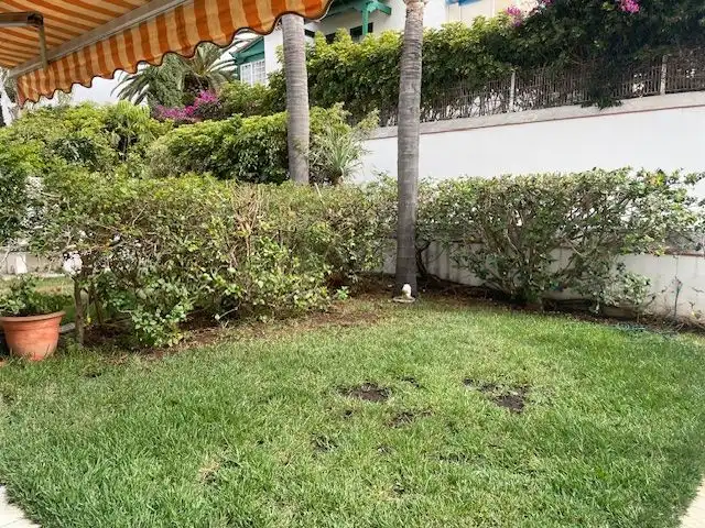 Apartments for sale in Zona Botánico