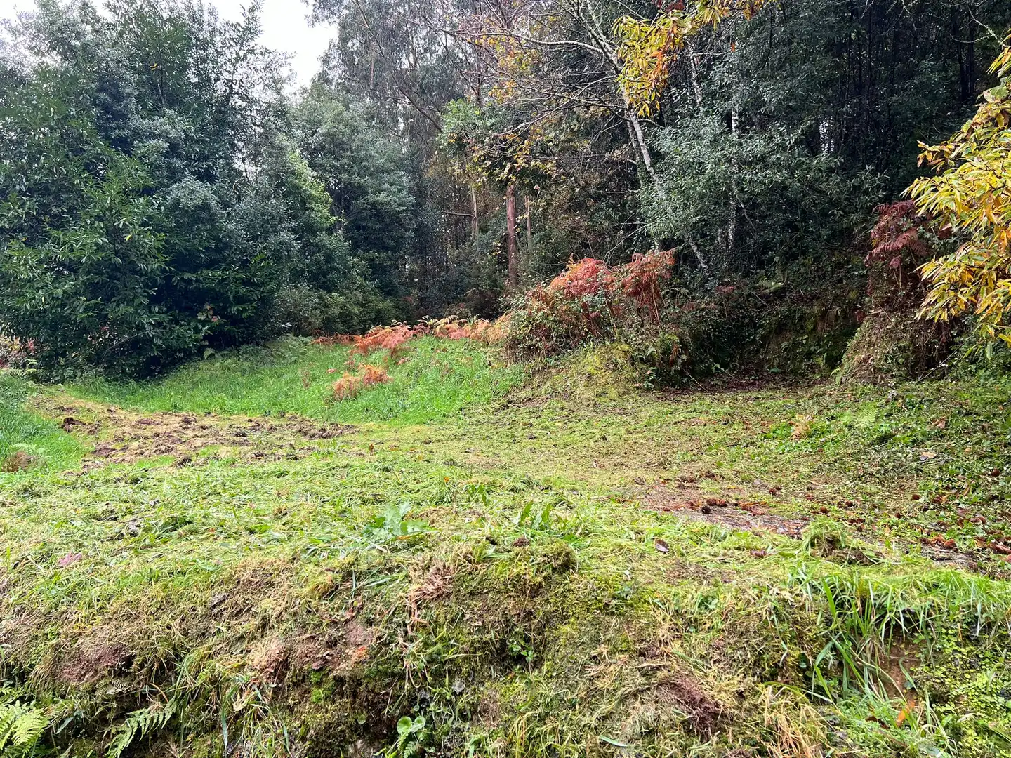 Casa con giardino in vendita a Ortigueira, imagen 15