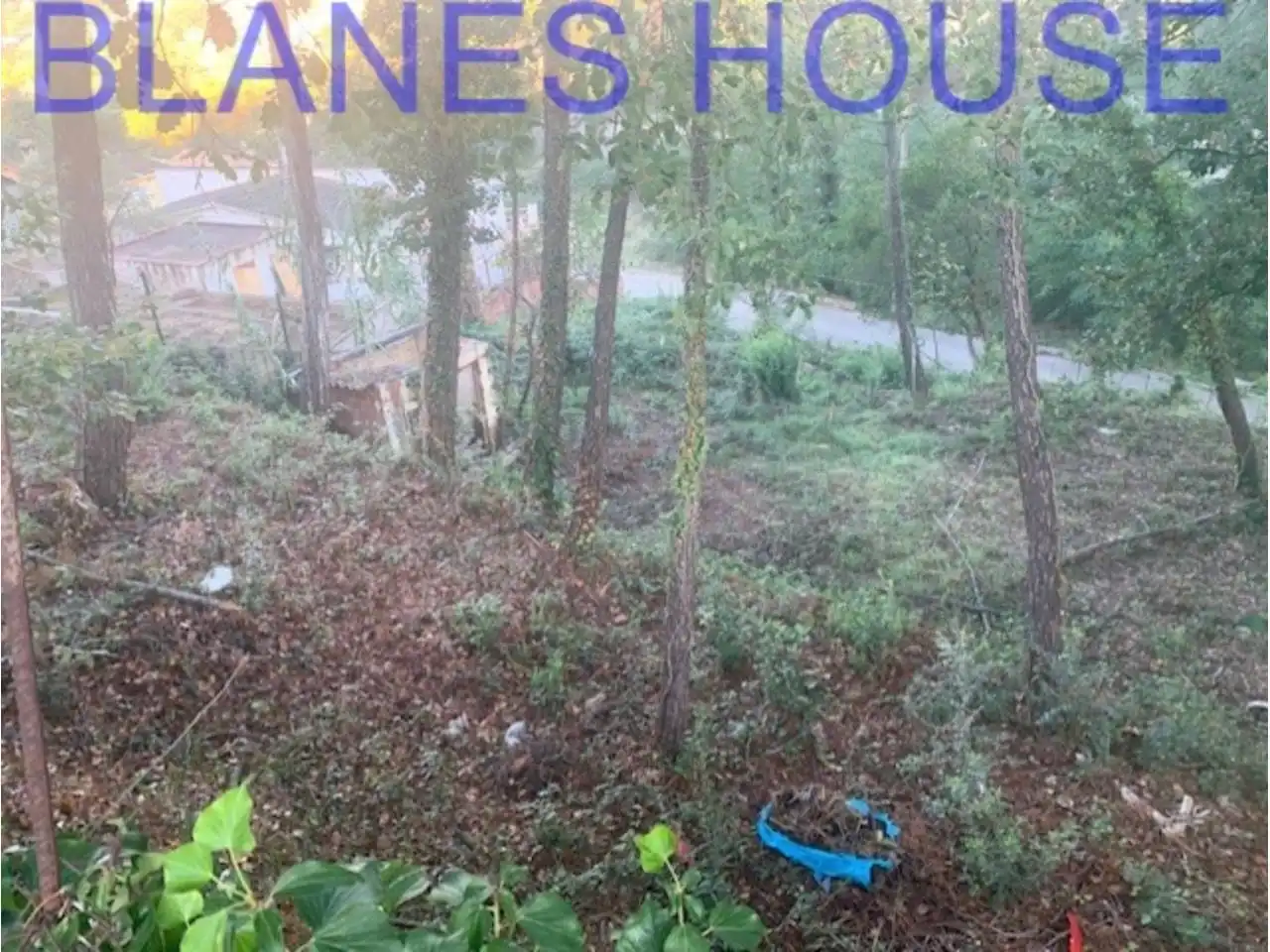 Rural land for sale in Residencial Park, imagen 2