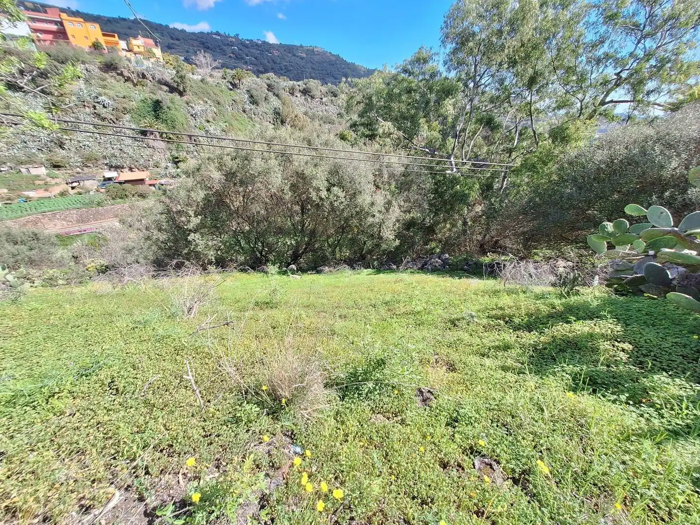 Xalet amb jardí en venda a Camino Pino Santo Bajo, imagen 4