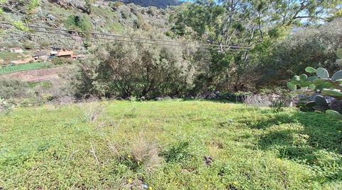 Foto 4 de Casa o chalet en venta en Camino Pino Santo Bajo, Portada Verde - Lomo Espino - Guanche, Santa Brígida