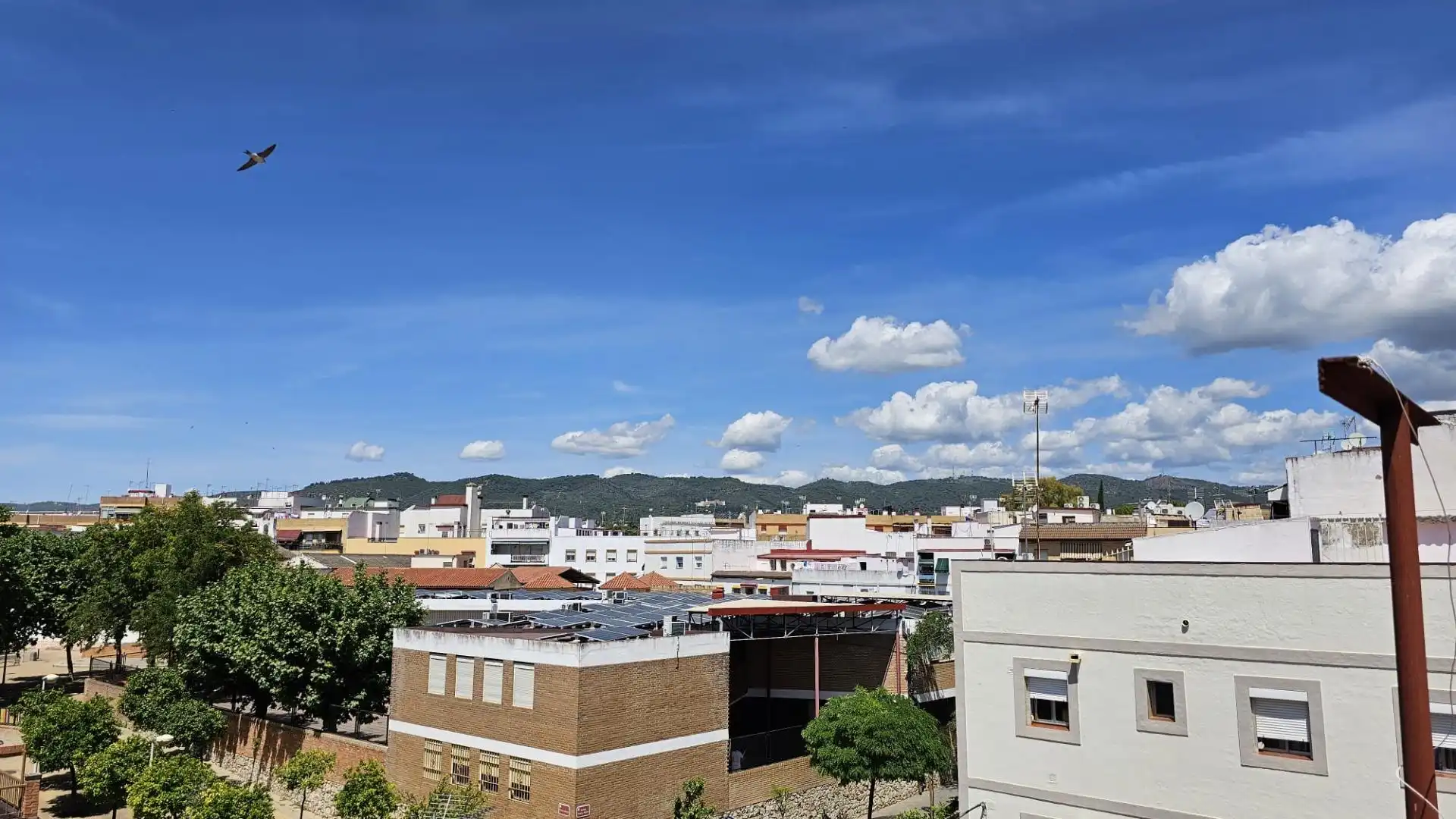 Vista exterior de Casa o xalet en venda en Córdoba