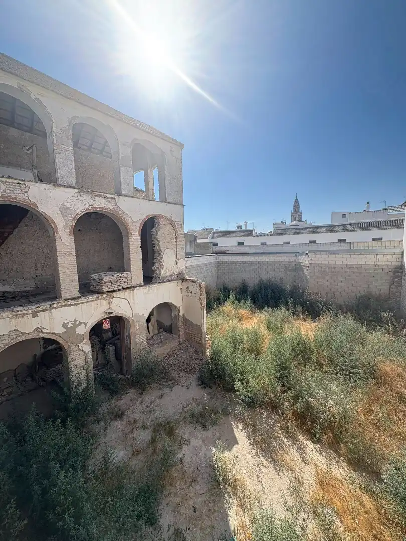 Exterior view of Houses for sale in Écija