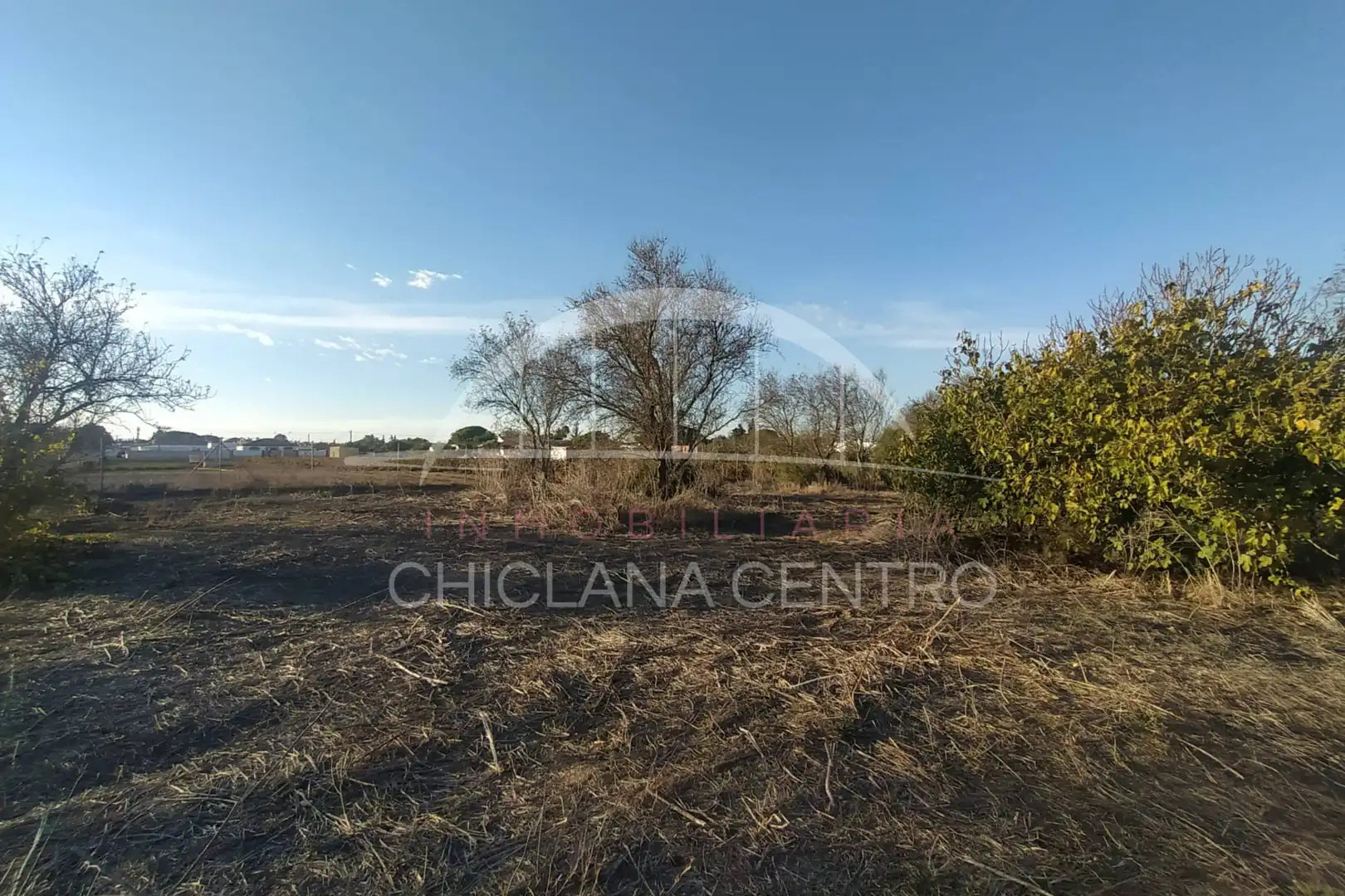 Terreni e lotti in vendita a Pelagatos - Pago del Humo, imagen 5
