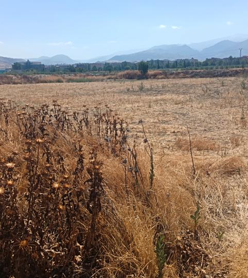 Photo 2 of Land for sale in Calle Real, 42, Las Tres Cruces, Granada