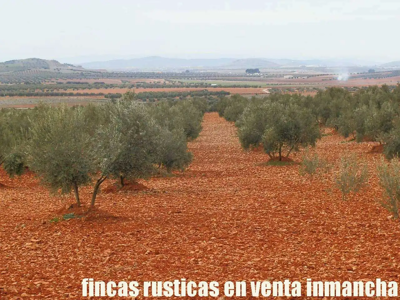Rural land for sale in Valdepeñas, imagen 7