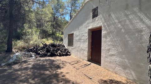 Finca Rústica de 82 Ha en Sierra de Burete, Cehegín | Vivienda, Almendros, Agua y Vistas Espectaculares, immagine 4
