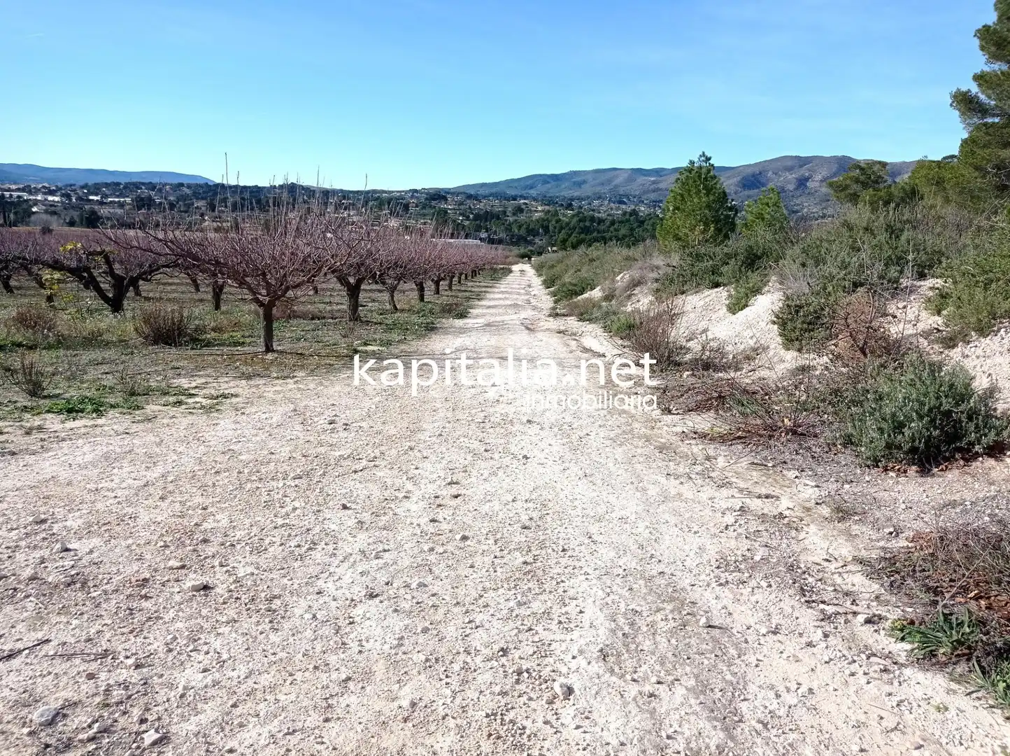 Terreno residenziale in vendita a Agullent, imagen 3