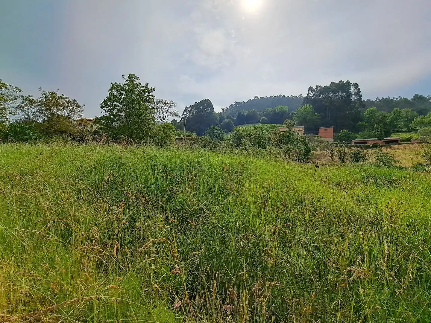 Casa o chalet en venta en Parroquias suroccidentales