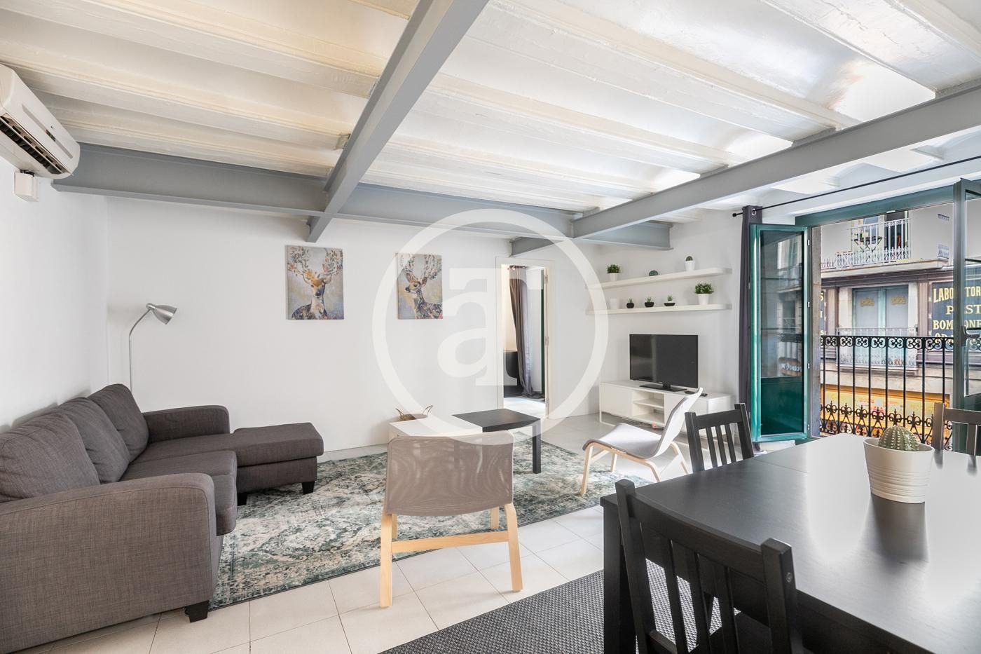 Sala d'estar de Pis de lloguer en  Barcelona Capital amb Aire condicionat, Calefacció i Moblat