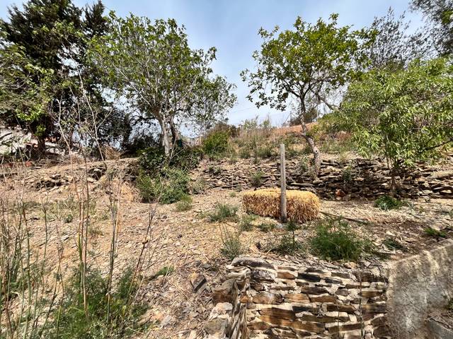 Terreno residencial en Venta en Carrer de Sant Ignasi de Loiola, 1 en Les Planes