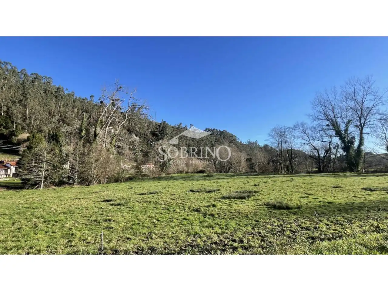 Terreno residencial en venta en Calle vilde 0, imagen 4
