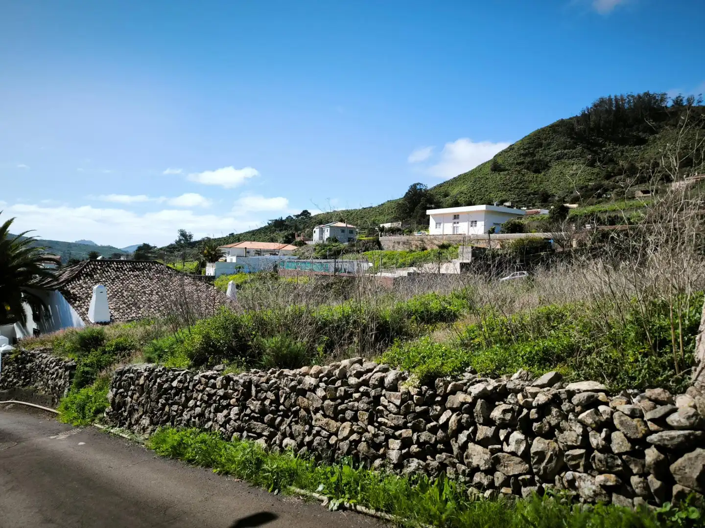 Rural land for sale in Camino el Roque 4