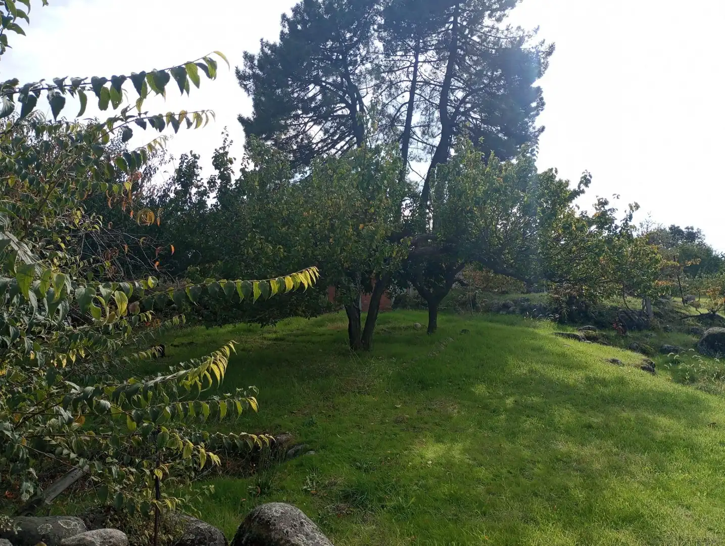 Terreni e lotti in vendita a Candeleda, imagen 4