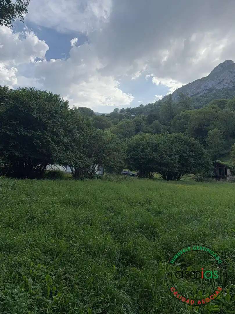 Land for sale in Quirós