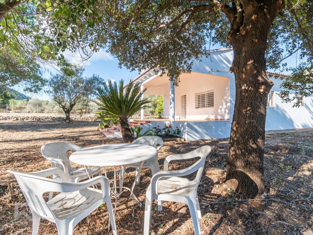 Jardín de Casa o chalet en venta en Villalonga