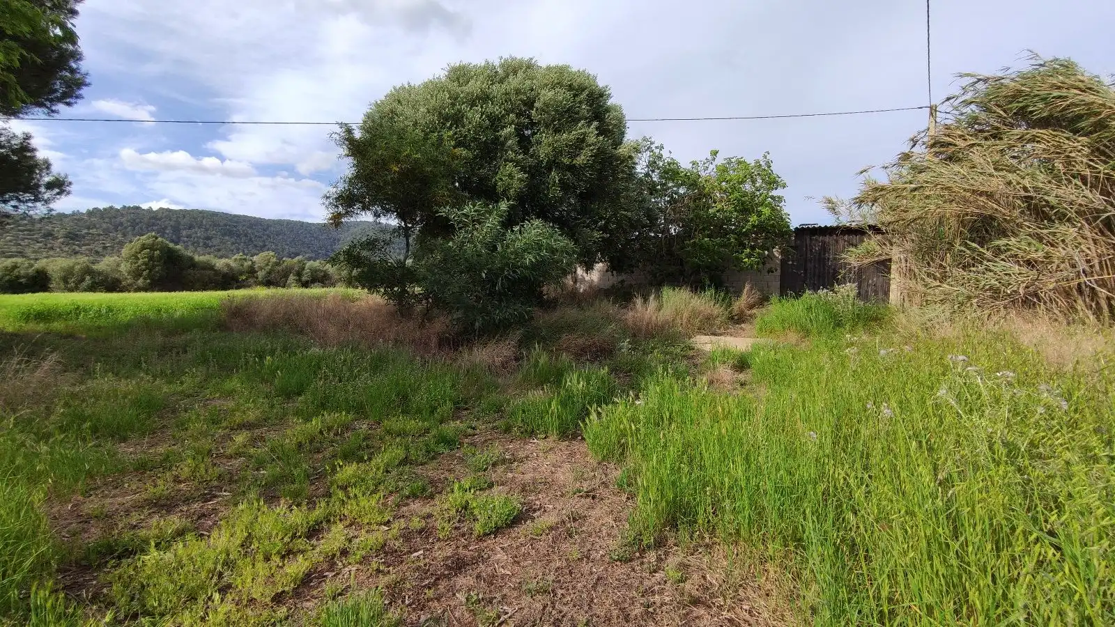 Terrain rustique à vendre à Campanet, imagen 5