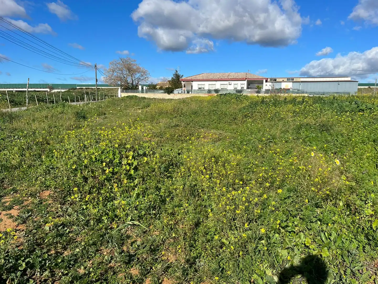Terrenys i solars en venda a Coria del Río, imagen 4