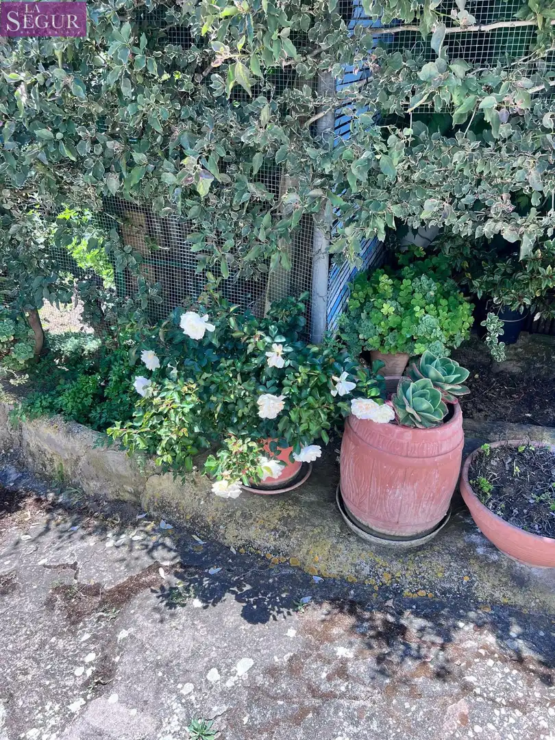 Jardí de Casa o xalet en venda en Vejer de la Frontera amb Jardí privat