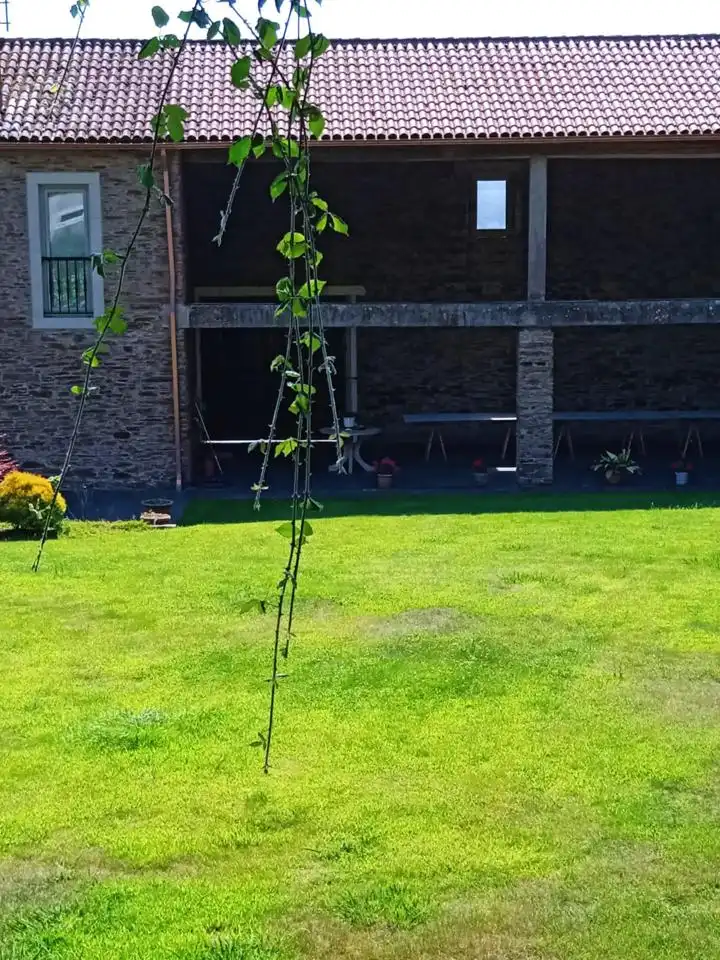 Finca rústica en venta en Loxo, Touro