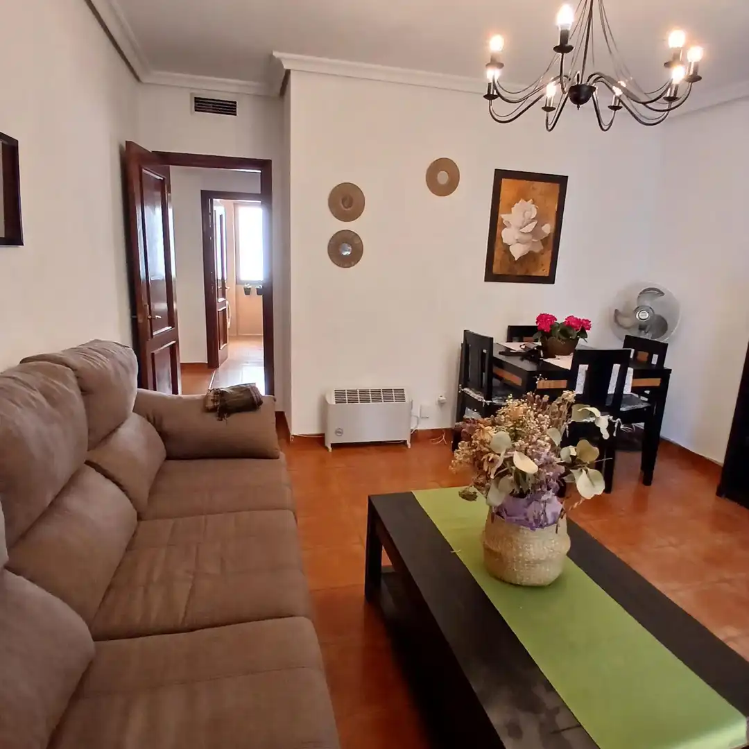 Living room of Flat for rent in Plasencia  with Furnished, Oven and Washing machine