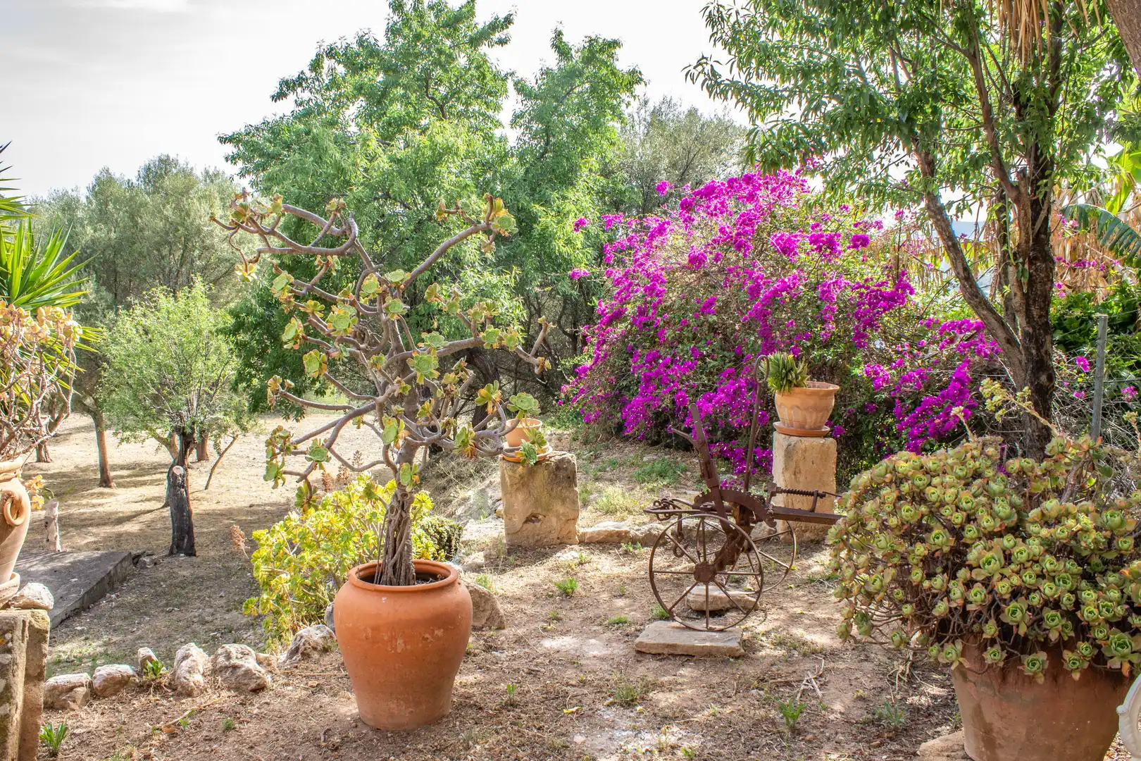 Maison rustique à vendre à Andratx pueblo, imagen 14