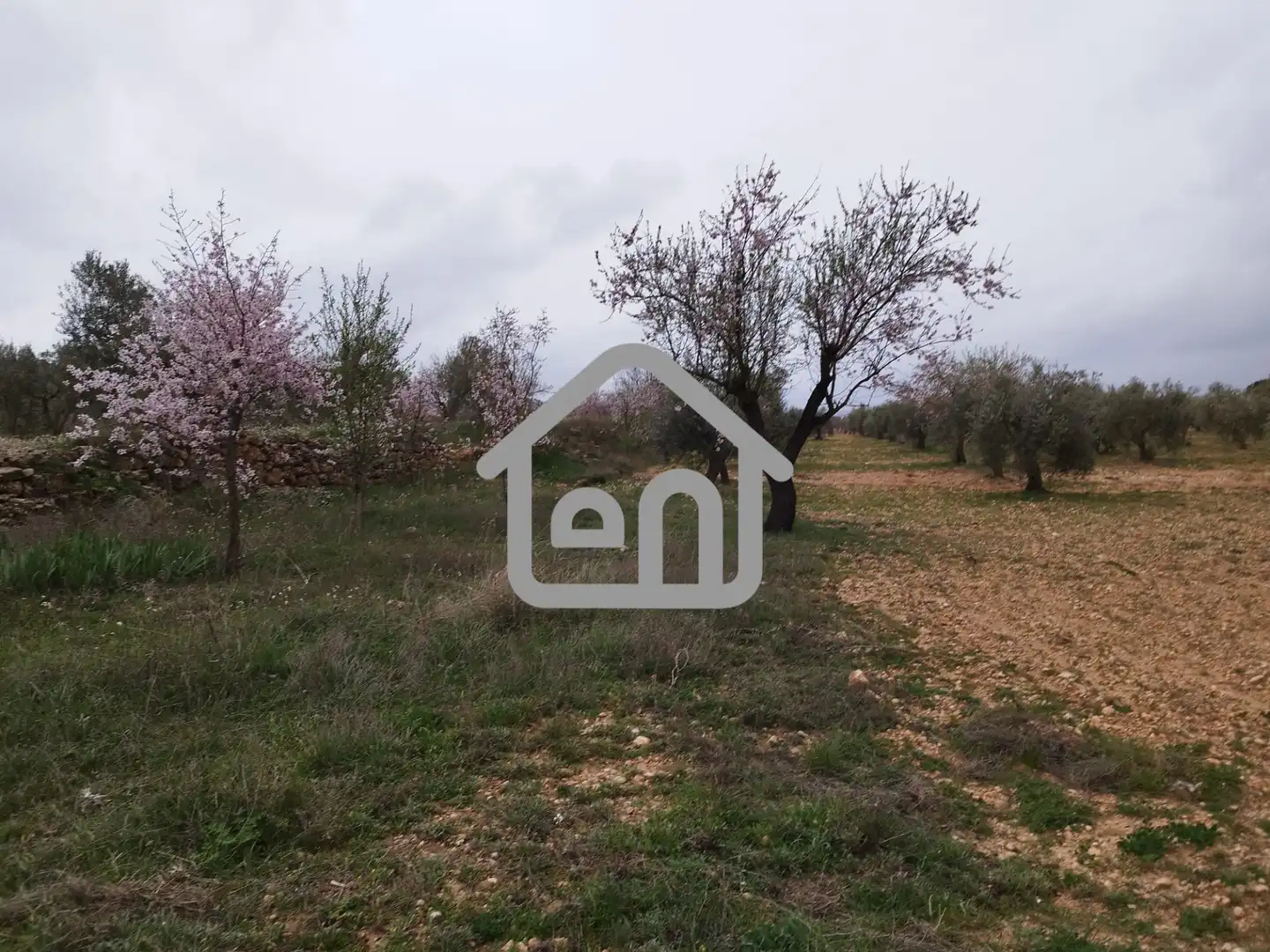 Rural land for sale in Requena, imagen 8