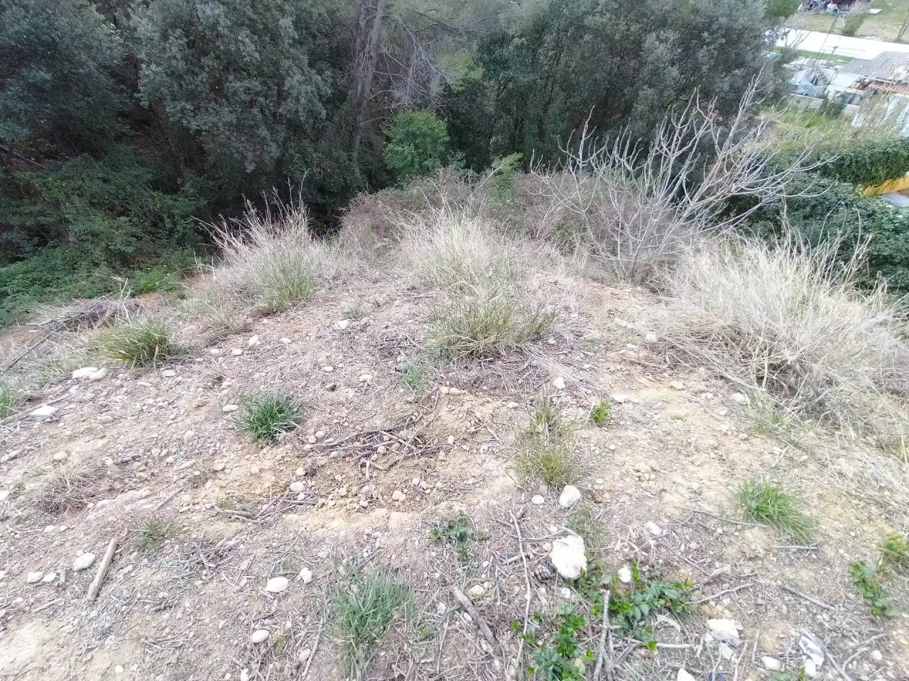Terreny rústic en venda a Castellnou - Can Mir - Can Solà, imagen 7