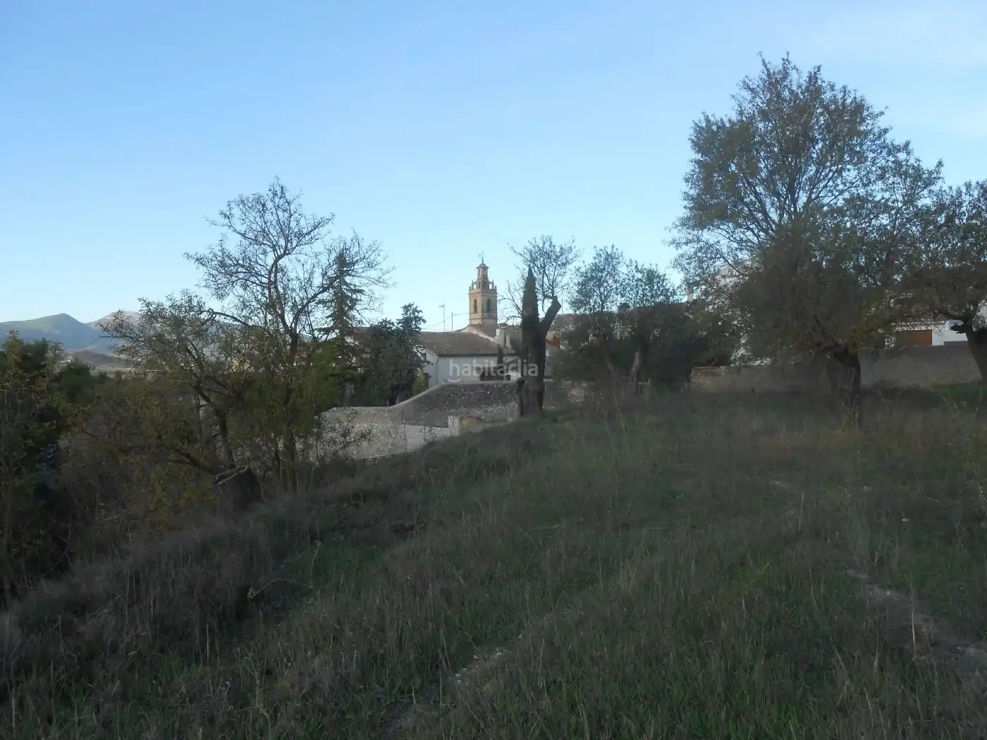 Terreno rústico en venta en Cami del Freginal 3, imagen 11