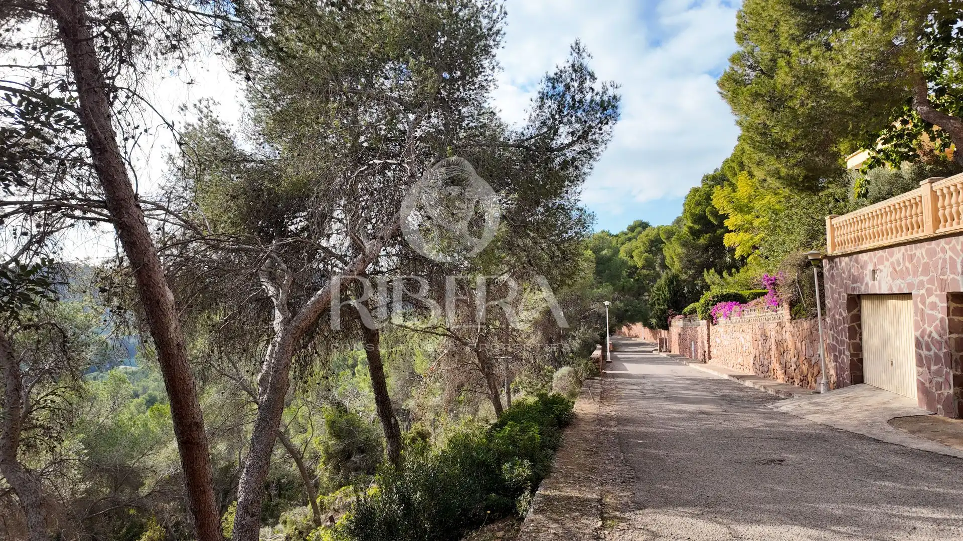 Lands and plots for sale in Urbanización Monteamor, imagen 17