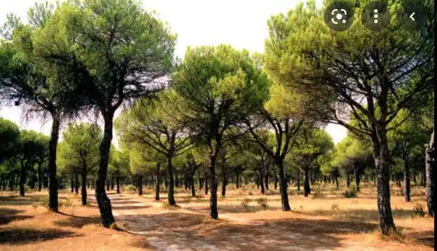 Residential land for sale in SAN ISIDRO