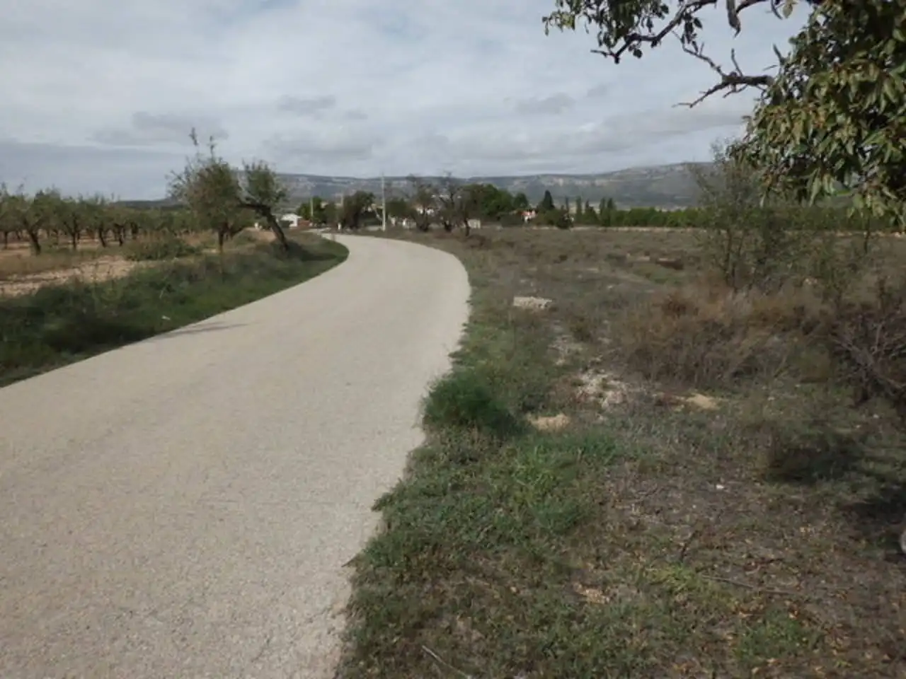 Grundstücke zum Verkauf in Almansa