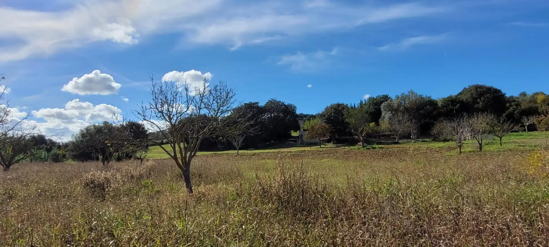 Terrain résidentiel à vendre à Manacor Centre, imagen 17