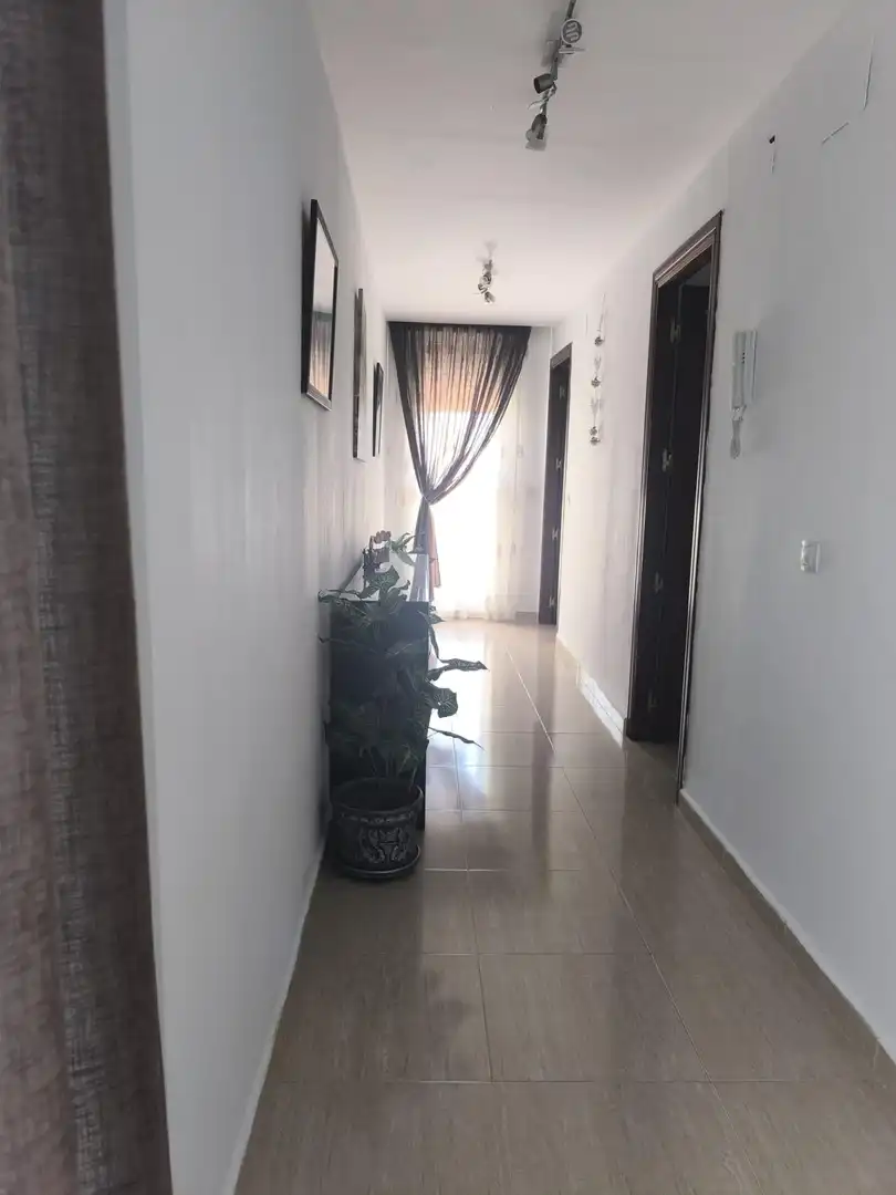 Casa o chalet de alquiler en La Carlota