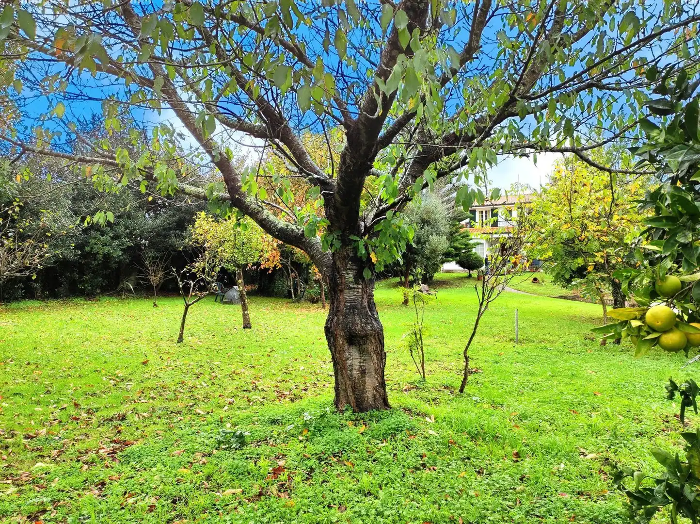 Xalet amb jardí en venda a Camino Sada Armuño, imagen 114