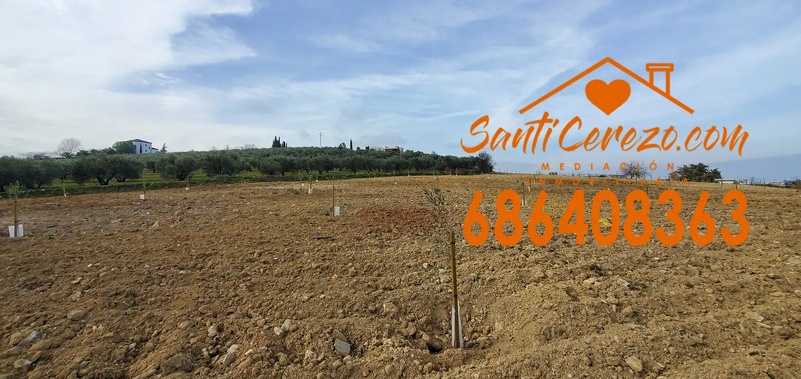 Grundstücke und Bauplätze zum Verkauf in Montilla, imagen 2