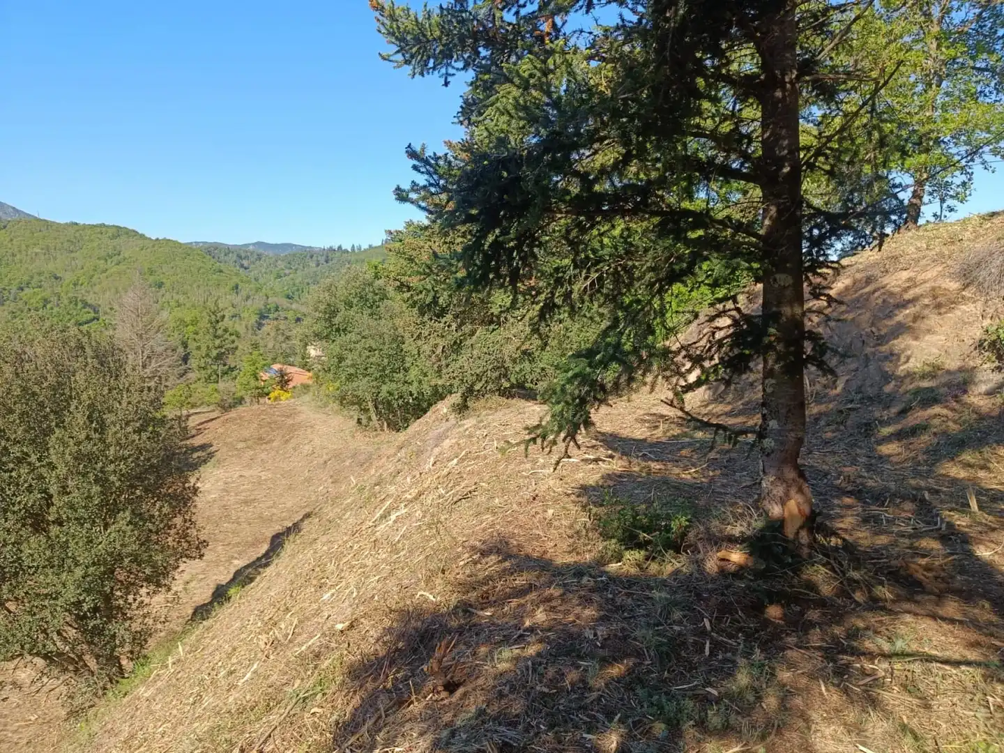 Wohnbaugrundstück zum Verkauf in Montseny 11, imagen 10