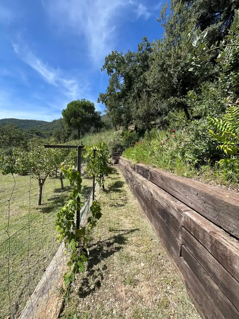 Haus oder Chalet zum Verkauf in Gualba