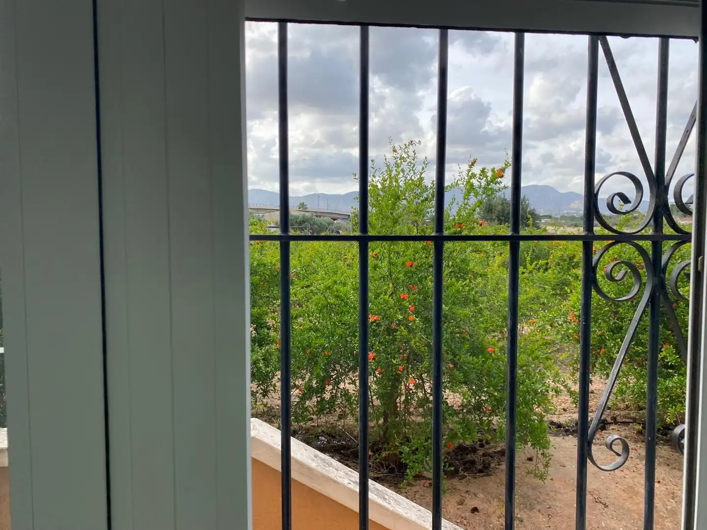 Villa in vendita a Crevillent, imagen 12