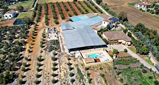 Casa-chalet en Venta en Calle Cuevas del Sol  en Setenil de las Bodegas
