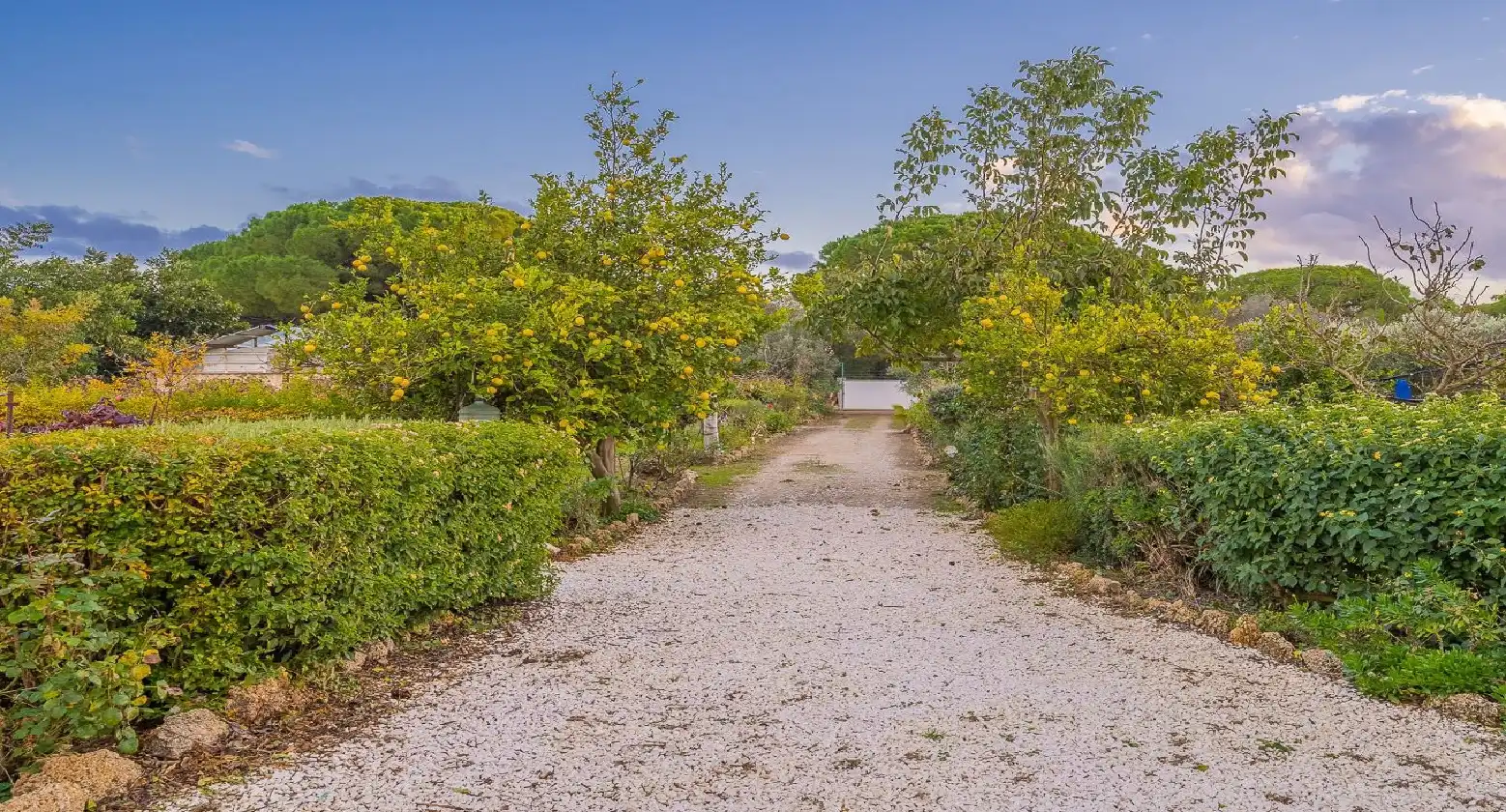 Houses for sale in Villanueva Golf
